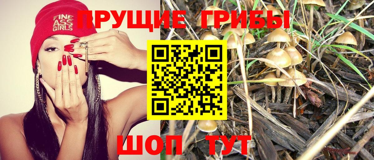 Галлюциногенные грибы мицелий  Вход с VPN  Североморск  Псилоцибиновые грибы Psilocybine cubensis 